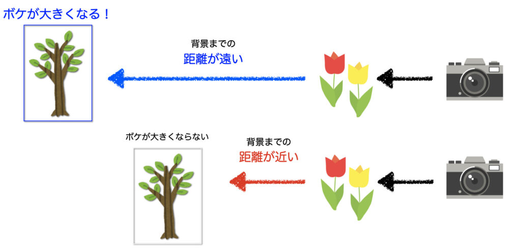 大きなボケの作り方（背景と被写体の距離を置く）