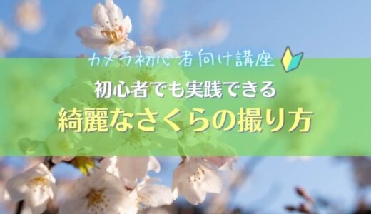 【映え】エモい桜はこう撮ろう！おしゃれな桜の撮り方５選