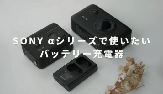 【保存版】SONY αシリーズの最適解。バッテリーチャージャーおすすめ３選（NP-FZ100対応）