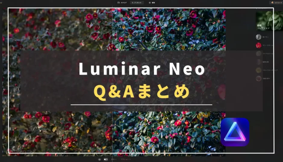 【最新Q＆Aまとめ】Luminar Neoを買う前に知っておきたいこと｜ルミナーネオ