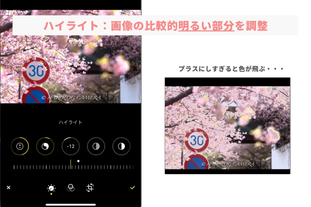 iPhone_桜レタッチ_ハイライト