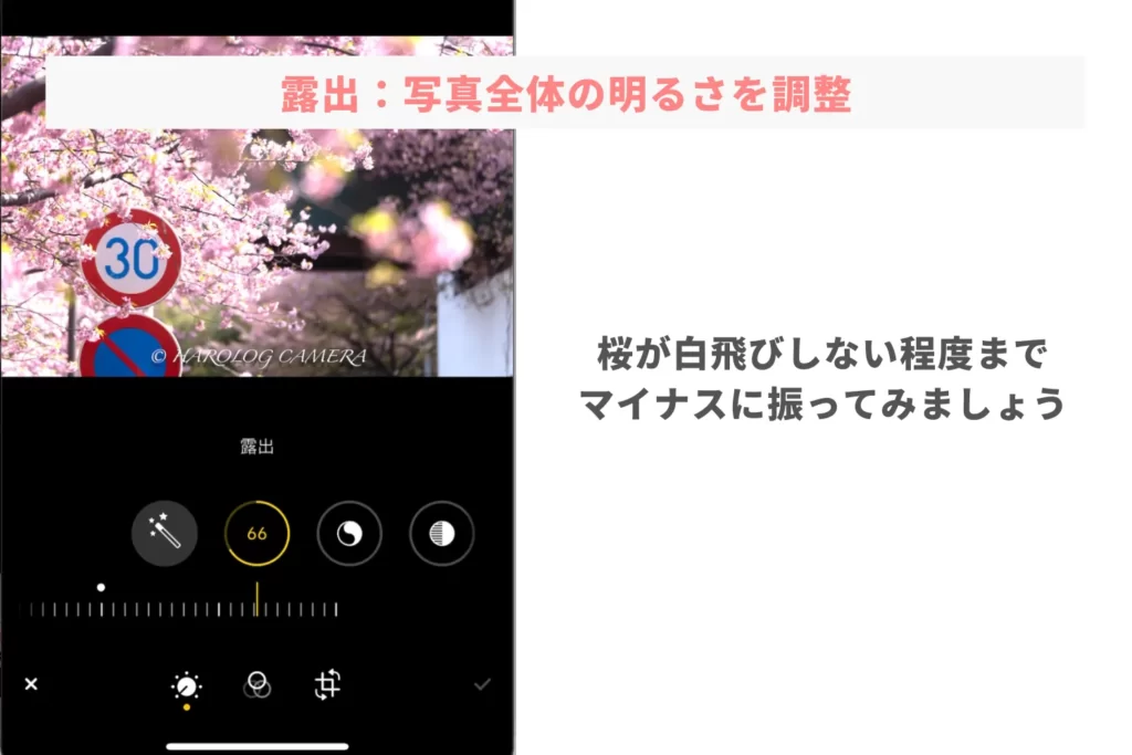 iPhone_桜レタッチ_露出