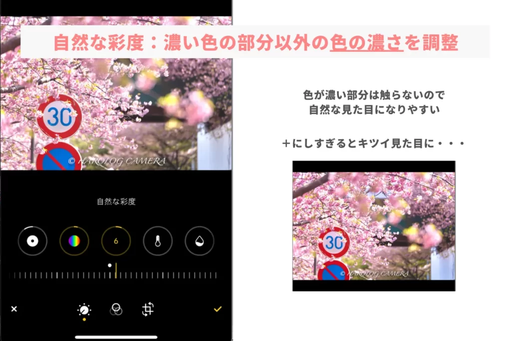 iPhone_桜レタッチ_自然な彩度