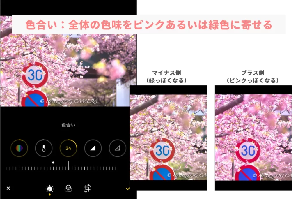 iPhone_桜レタッチ_色合い