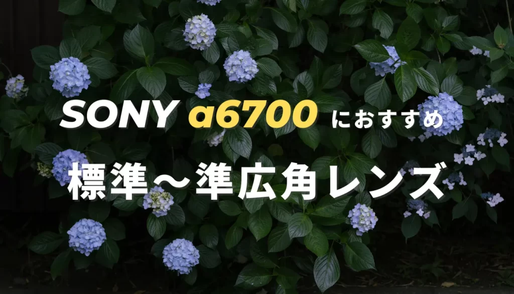 SONY α6700におすすめ神レンズ（標準レンズ）