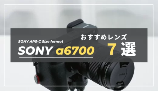 【厳選】レンズ選びはこれで決まり！SONY α6700におすすめ神レンズ７選